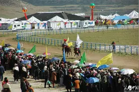 2016“当吉仁”赛马节开幕| 看那马背男人英姿图片