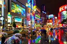 路迹  --雨晴以后图片