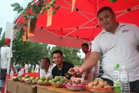 吃核桃宴挑文玩看风景 费县第三届核桃节开幕图片