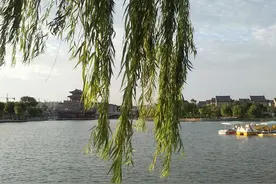 妹妹去世偷写了一份遗嘱让我保存，竟然把她的六位数遗产给了婆婆图片