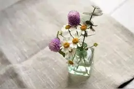 真正的自由，是做真实的自己图片