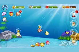 开心水族箱投喂鱼食注意事项详细解析图片
