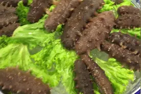 青岛单环刺螠海肠子，好吃形状很恐怖图片