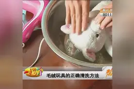 毛绒玩具脏了只能扔掉吗？才不是！只需要这个，让它们干净如新！视频封面