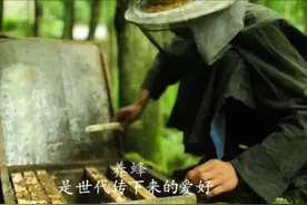 关于蜂蜜，所有你想知道的都在这里！图片