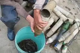 大师自制捉大黄鳝的工具图片
