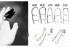 手指形状揭示你一生的命运图片
