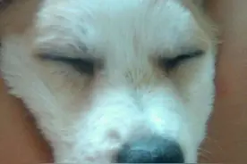 我的小宝贝睡觉都这么可爱。图片