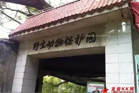 被遗忘的悲惨动物园，多少龙岩人的童年回忆！图片