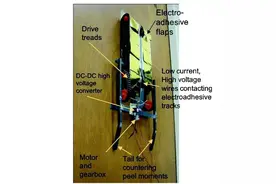 5款顶尖的爬墙机器人，cute到不行呀！图片