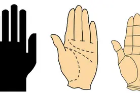 手掌和命运有着密切的关系!是富贵是平庸？三秒检视自我手相!图片