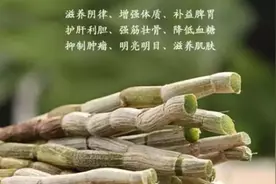 铁皮石斛：小身体有大功效——本报真情回馈读者图片