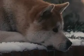 网络世界里，人人都是狗图片