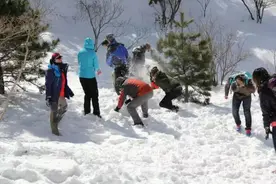 掌握这些雪地跑步作画你也可以！图片