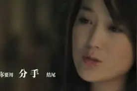 龙梅子VS王强《你把爱情给了谁》MTV图片