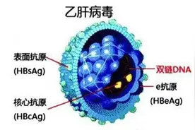 肝功能五项：教你如何看懂乙肝五项化验单图片