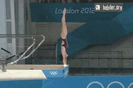 七个鲨鱼的gif图，第4个你萌到我了！图片