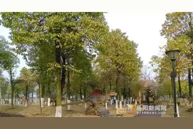 岳阳规模最大恐龙主题展 吸引孩子们过欢乐寒假图片