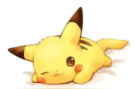 如果可以抱走一只，你会选择抱走那个？我选乔巴~图片