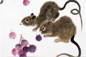 聪明！智商最高的4大生肖图片