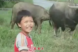 一首跟你去放牛想起小时候放牛的情景图片