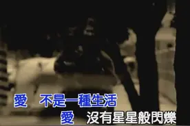 王杰《 还痛的伤口》受伤的翅膀再也飞不起，只能躲在梦里哭泣图片
