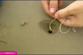 海滩上一根线就能钓虾爬子，看的跃跃欲试！图片