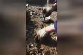 实拍台山生蚝开壳全过程，这工具不行，好费力图片