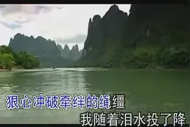 每天一首好歌-泪在投降（降央卓玛)图片