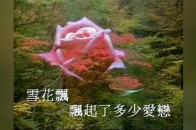 歌后王菲也曾翻唱过 邓丽君原唱《雪中莲》图片