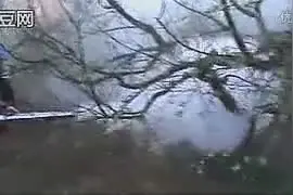 果园果树农药喷雾器图片