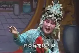 河南曲剧《王二姐思夫》周玉珍主演图片