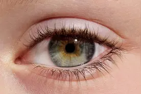 叹为观止，许多动物的眼睛竟然和人类的眼睛极为相似！图片