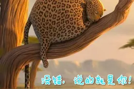 除了卖萌，胖子在这个世界上真的一无是处？图片