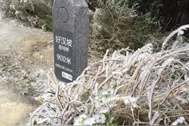 深圳梧桐山下雪啦！图片