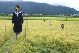日本的这些有趣稻草人不是用来吓乌鸦的，是吓人的图片