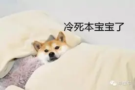 5.98万元起 新宝骏630该如何化身“神车”？图片