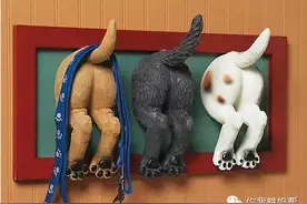 13款有趣的墙上挂钩图片