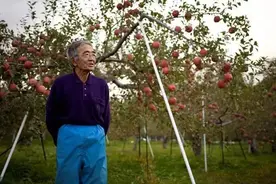 唯有“厚积薄发”，才能挺过寒冬图片