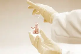 哪些情况不宜直接做试管婴儿？图片