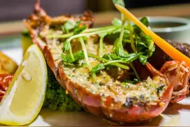 一只来自杭州的鸭子图片