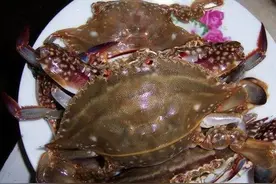 减肥秘制菜谱：红烧梭子蟹图片
