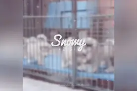 你们这群美艳动人丰姿绰约的小妖精，好萌呀图片