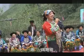 苗歌：你不喜欢我，我喜欢你视频封面