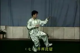 杨式40式太极拳——（全套动作分解）