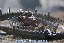 流浪刀客为吃狗肉设陷阱，看狗中机关的刹那吓的心颤视频封面