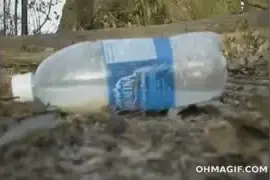 疯狂实验：把氯片（消毒粉）加酒精在密闭的瓶子里会怎样呢？图片