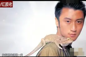 星二代谢霆锋红极一时的音乐之路！图片