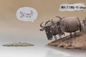 一些迷之笑点的动画短片合集，存着不开心的时候看图片