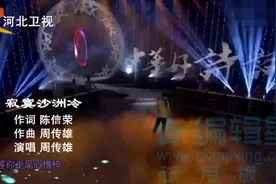 周传雄-2005年《寂寞沙洲冷》一首很老的悲伤情歌视频封面
